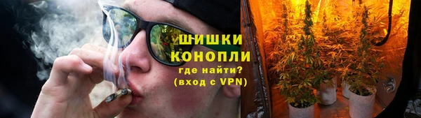 ПСИЛОЦИБИНОВЫЕ ГРИБЫ Алексин