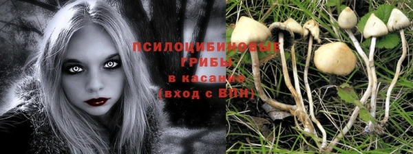 ПСИЛОЦИБИНОВЫЕ ГРИБЫ Алексин