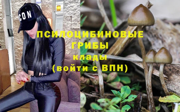ПСИЛОЦИБИНОВЫЕ ГРИБЫ Алексин