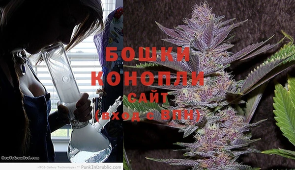 индика Чита